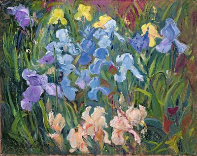 Iris: Rosa, Blu e Oro, 1993 da Timothy Easton